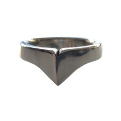 Inel din otel inoxidabil, Stainless steel taj crown ring      